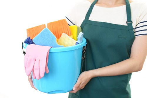 Professional cleaner in Merton for home cleaning
