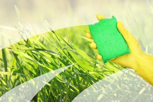 Transparent pricing for carpet cleaning in a Merton home