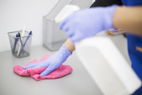 Local carpet cleaning service highlighting detailed fabric care and cleanliness
