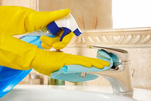 Upholstery and rug cleaning options alongside carpet care