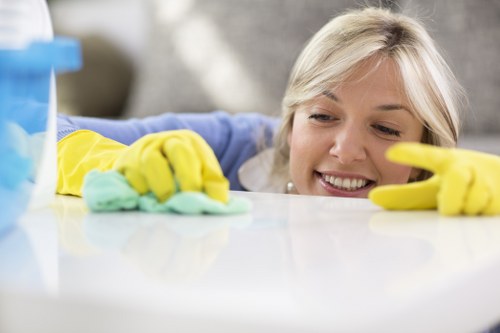 Domestic cleaning service in Merton for a tidy home