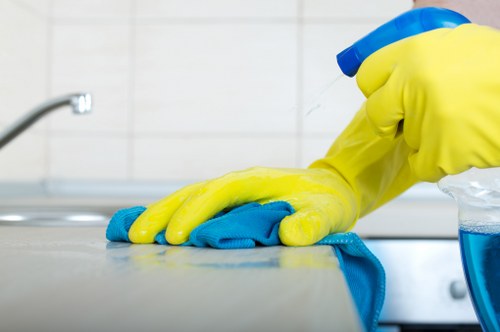 Experienced cleaners working in a Merton property
