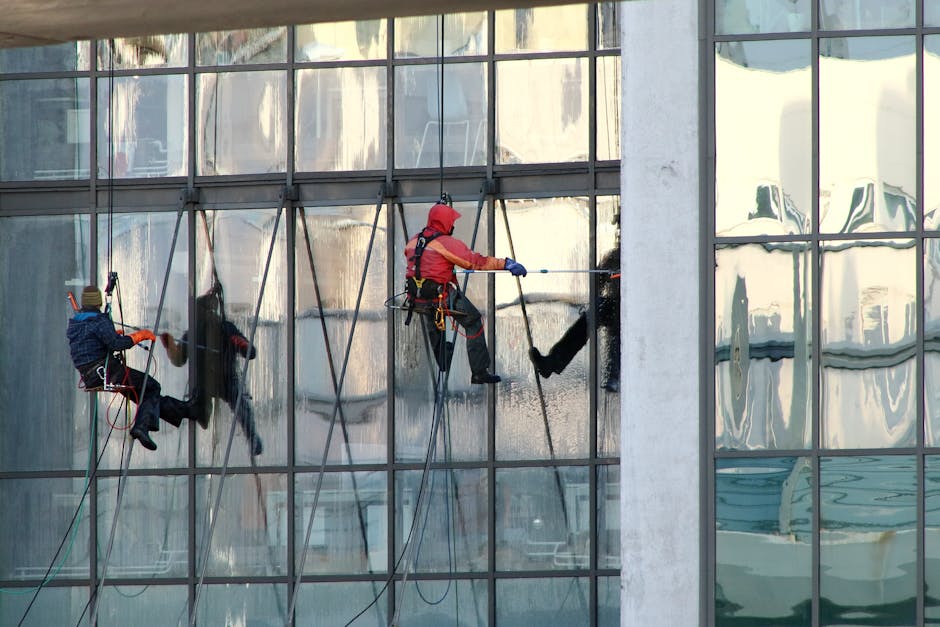 Two professional window cleaners suspended on ropes are performing surface cleaning and deep cleaning of a large glass facade of a modern commercial building on Morden High Street (SM4). They are equipped with harnesses, safety helmets, and cleaning tools, including squeegees or wash brushes. The glass panels are quite reflective, showing distorted reflections of nearby structures and the sky, and are being carefully cleaned to remove dirt and streaks. The scene is illuminated by natural daylight, highlighting the cleanliness of the glass surfaces and the meticulous process involved in sanitisation and maintenance. This image exemplifies high-rise window cleaning services provided by Merton Carpet Cleaning for commercial property upkeep.