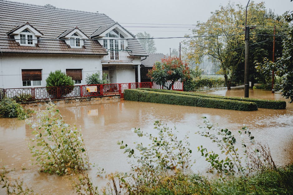 Where to Dispose Flood-Damaged Carpets in Merton image